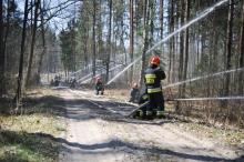 Strażacy - akcja w lesie
