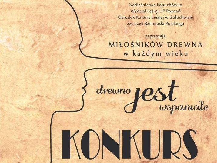 Ogólnopolski&#x20;konkurs&#x20;&#x22;Drewno&#x20;jest&#x20;wspaniałe&#x22;