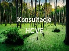 Konsultacje HCVF