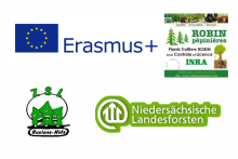 Czy wiecie czym zajmuje się Program Erasmus+?